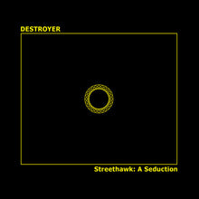 the album cover for Destroyer - Streethawk: A Seduction [LP]