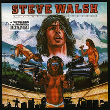 the album cover for Steve Walsh - Schemer Dreamer [Import]