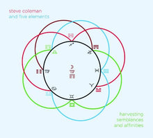 Steve Coleman - Harvesting Semblances & Affinities [CD]