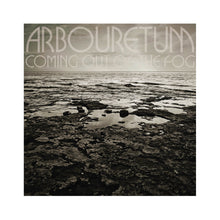 Coming Out of the Fog [CD]