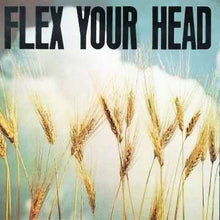 the album cover for Flex Your Head - Flex Your Head