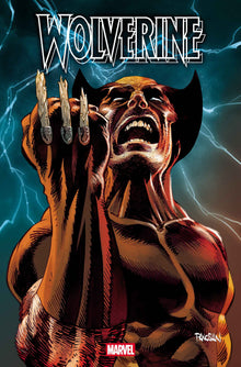 Wolverine #22 A Dan Panosian (06/24/2026) Marvel