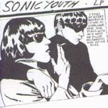 the album cover for Sonic Youth - Goo