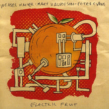 Mary Halvorson Quintet - Electric Fruit [CD]