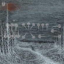 the album cover for Wold - Freermasonry