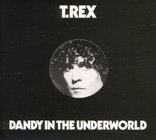 the album cover for T. Rex - Dandy in the Underworld