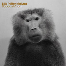the album cover for Nils Petter Molvaer - Baboon Moon