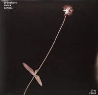 the album cover for Prinzhorn Dance School - Clay Class [Digital Download Coupon]