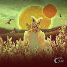 the album cover for Mr Gnome - Madness in Miniature