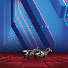 Adebisi Shank - This Is The Second Album Of A Band Called Adebisi Shank [CD]