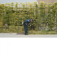 Good Luck and Do Your Best [CD]