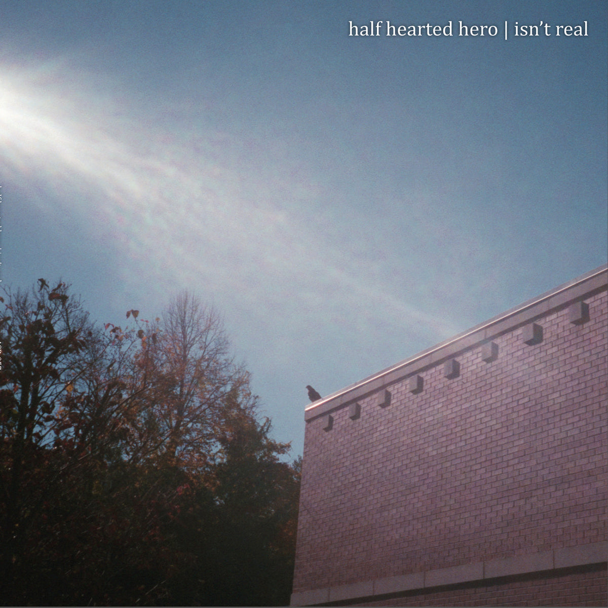Isn't Real [Vinyl]