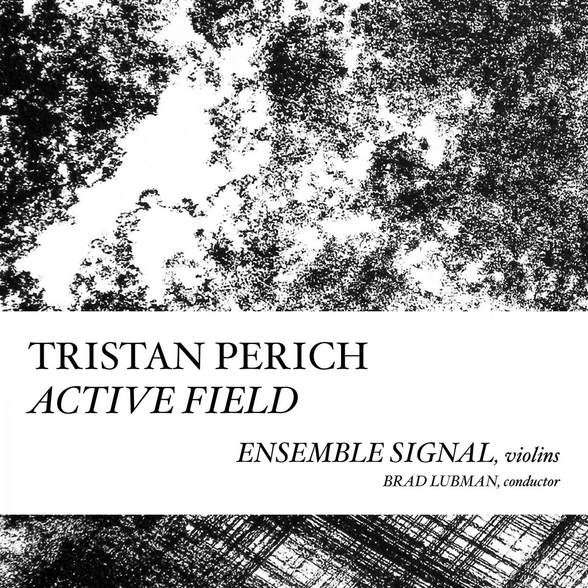 Compositions: Active Field [CD]