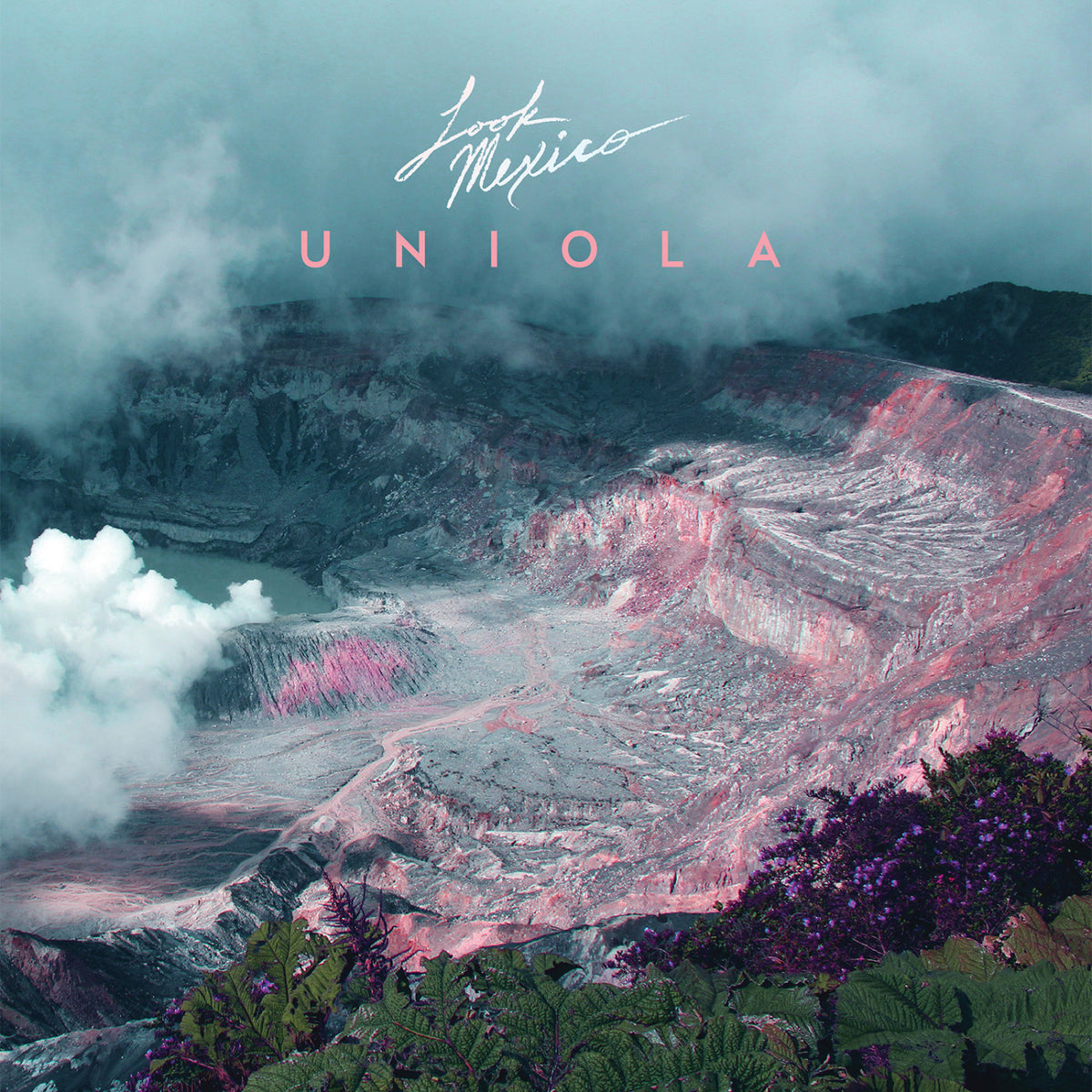 Uniola [Vinyl]