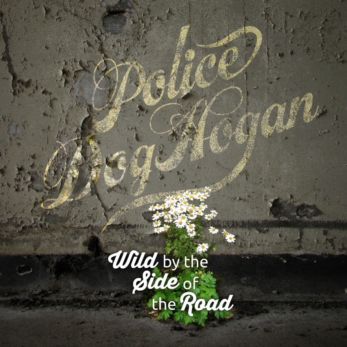 Wild By The Side Of The Road [Vinyl]