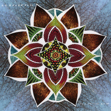 Song of the Rose [CD]