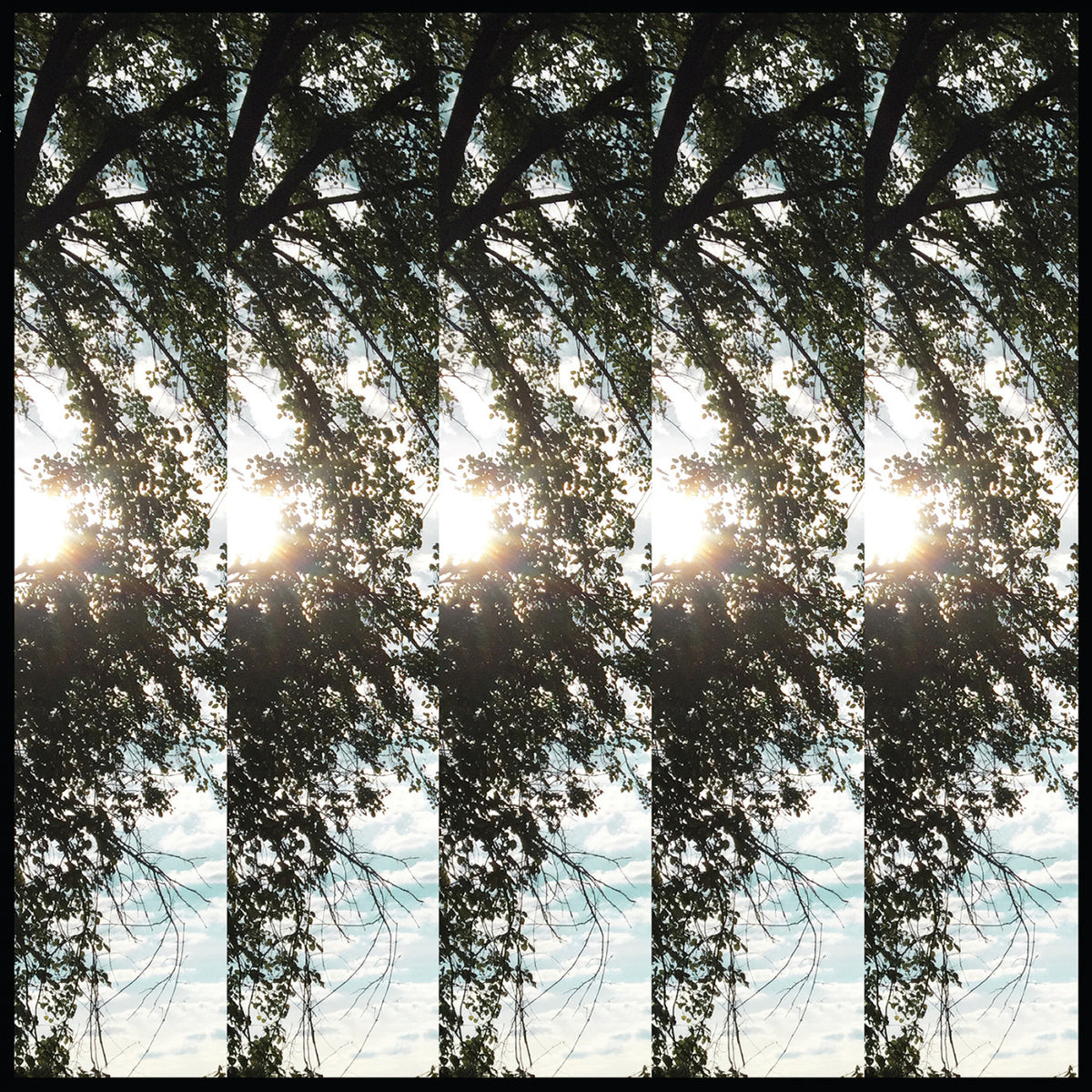 Dialectic of Ignorance [CD]