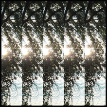 Dialectic of Ignorance [CD]