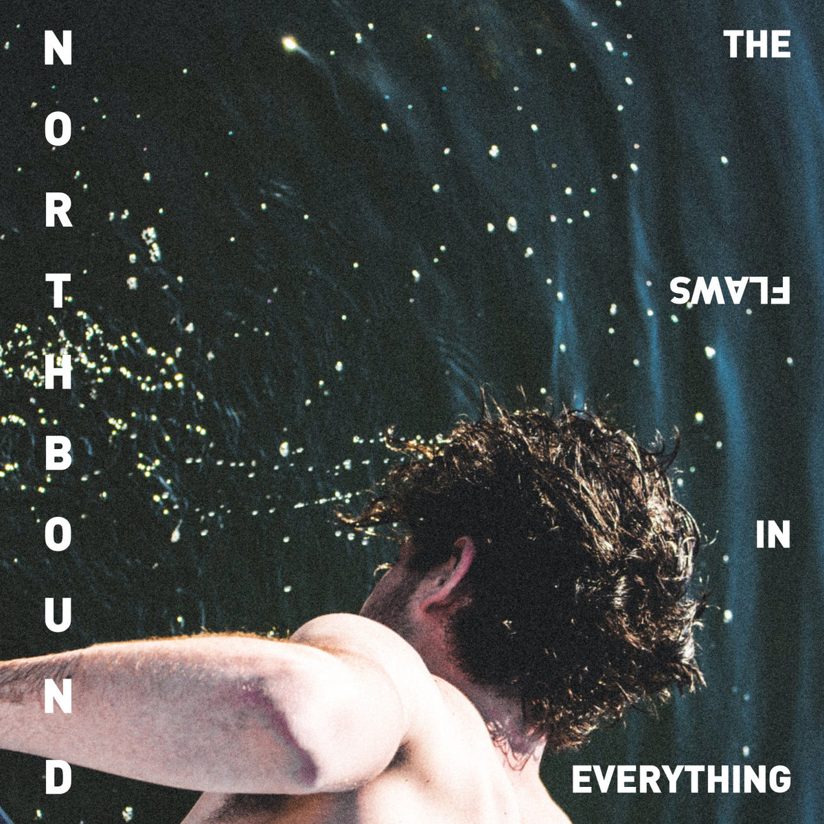 The Flaws In Everything [CD]
