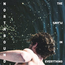 The Flaws In Everything [CD]