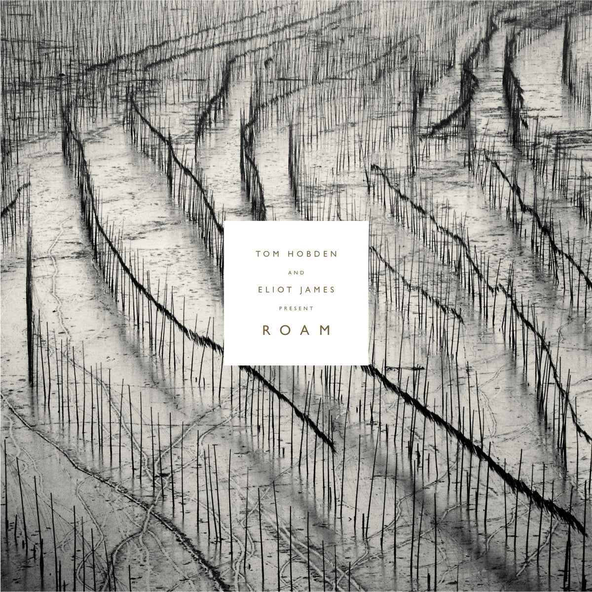 Present: Roam [Vinyl]