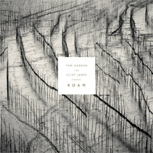 Present: Roam [Vinyl]