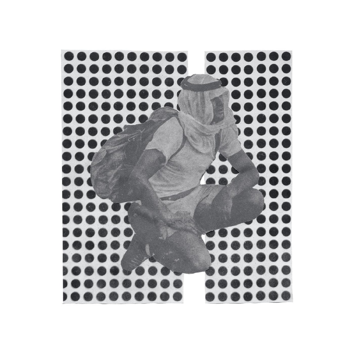 The Album Paranoia [Vinyl]
