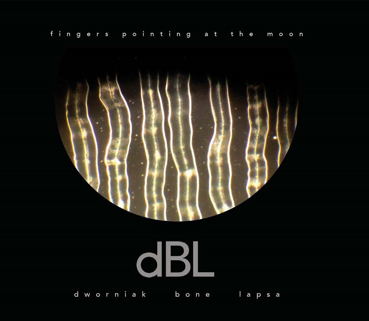 Dworniak Bone Lapsa - Fingers Pointing At The Moon [CD]