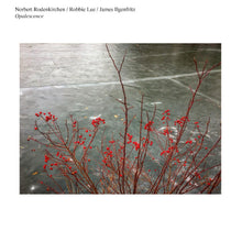 Norbert Rodenkirchen/Robbie Lee/James Ilgenfritz - Opalescence [CD]