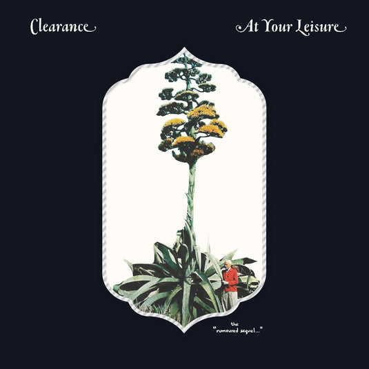 At Your Leisure [Vinyl]