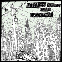 Almost Ruined Everything [Vinyl]