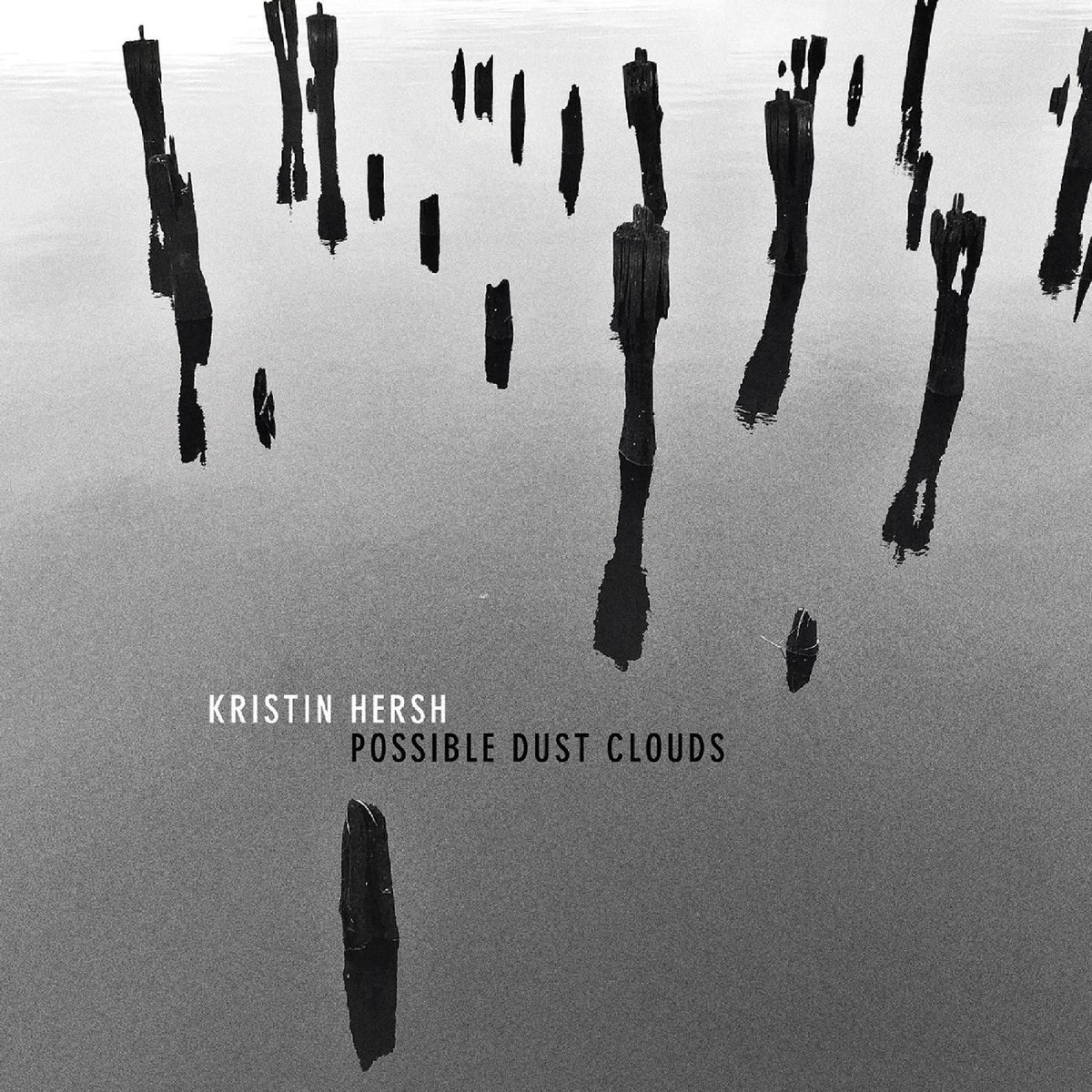 Possible Dust Clouds [CD]