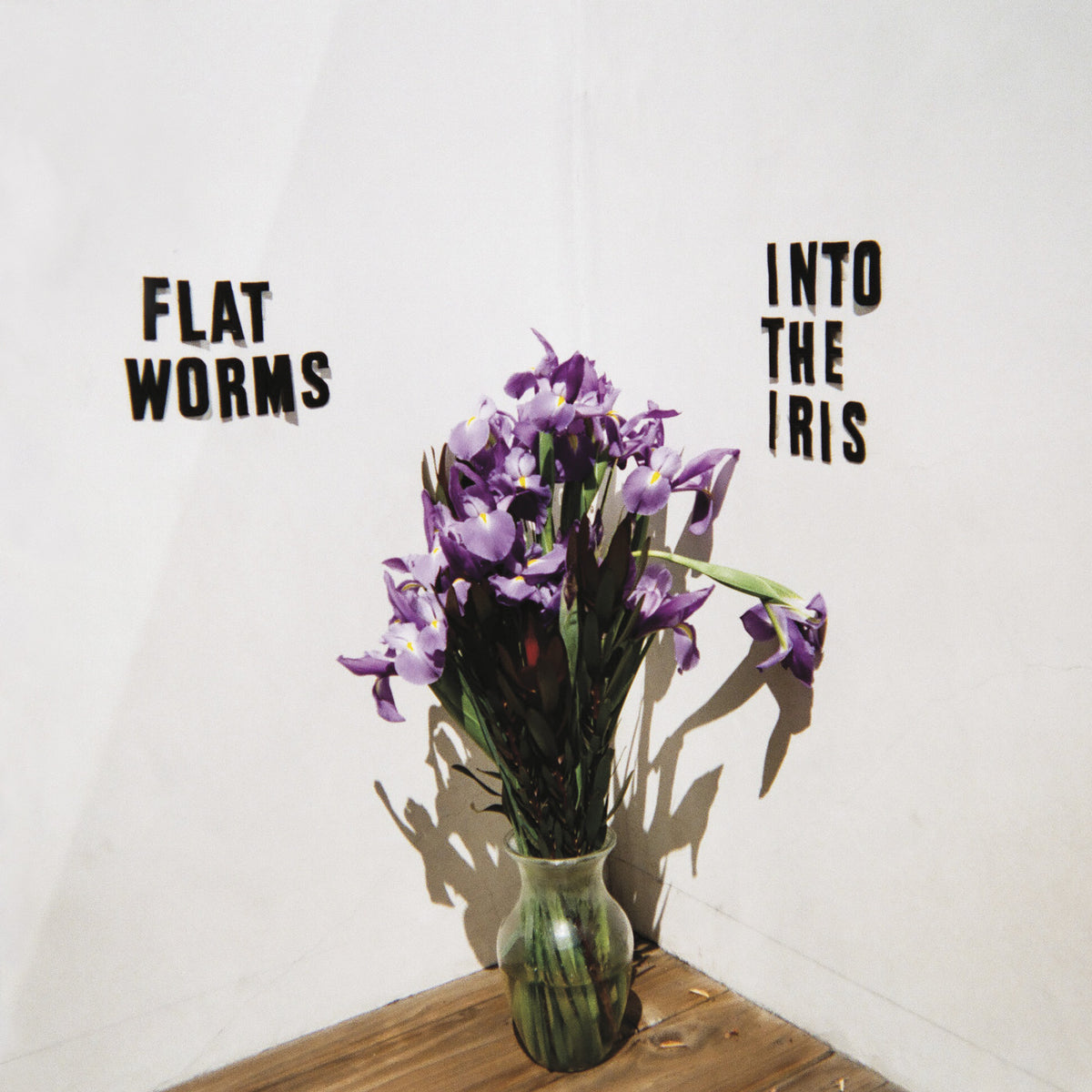 Flat Worms - Into The Iris [CD]