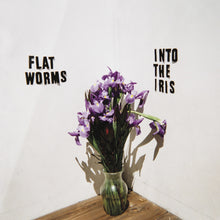 Flat Worms - Into The Iris [CD]