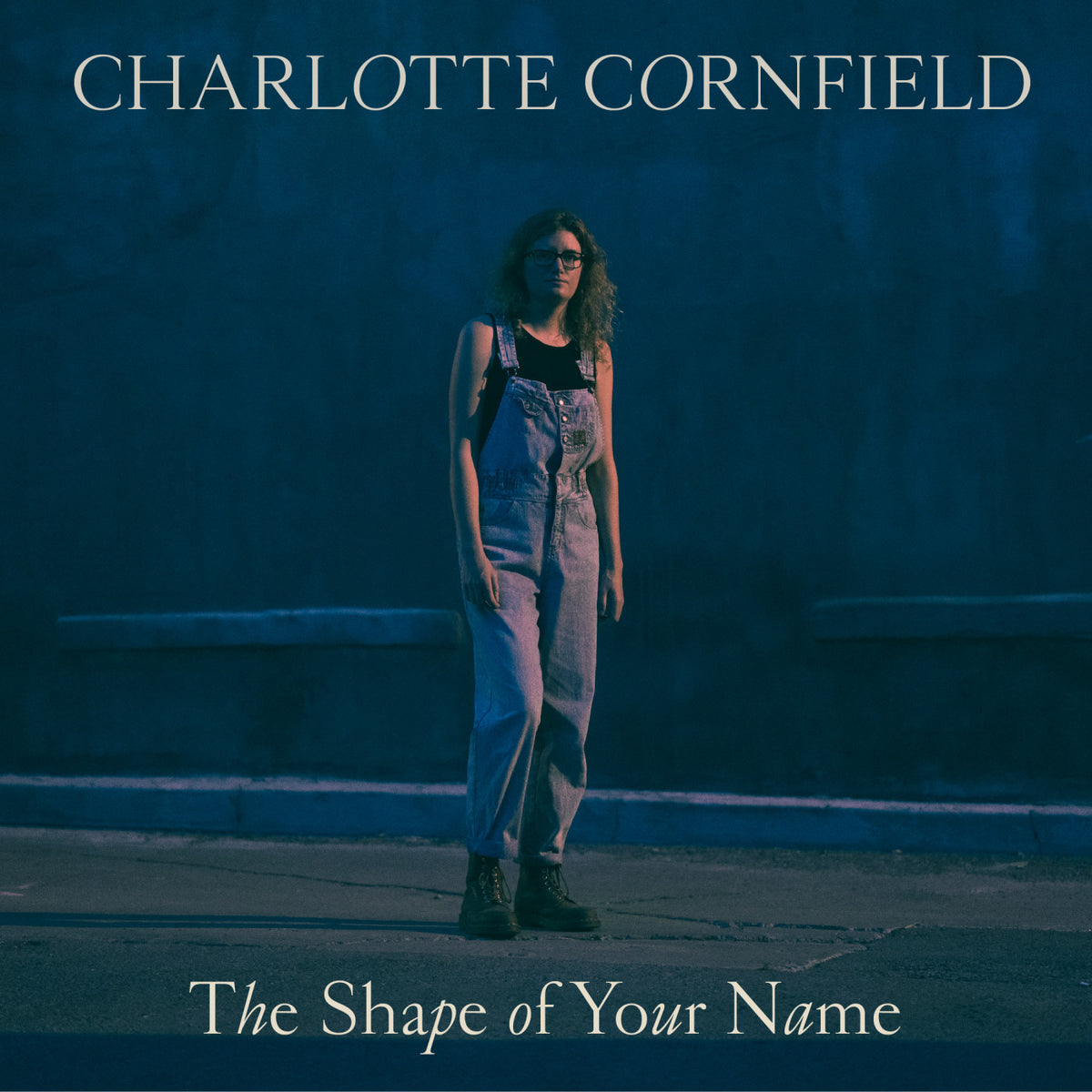 The Shape Of Your Name [Vinyl]