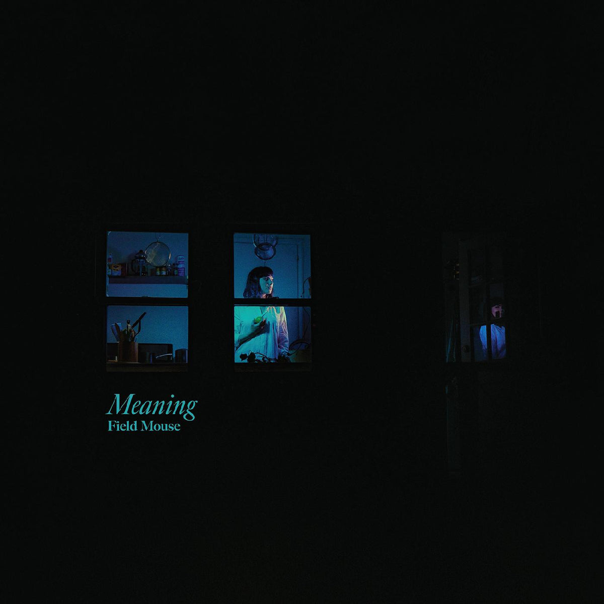Field Mouse - Meaning [CD]