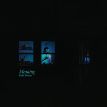 Field Mouse - Meaning [CD]