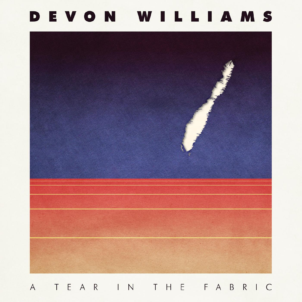 Devon Williams - A Tear In The Fabric [Vinyl]