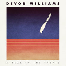 Devon Williams - A Tear In The Fabric [Vinyl]