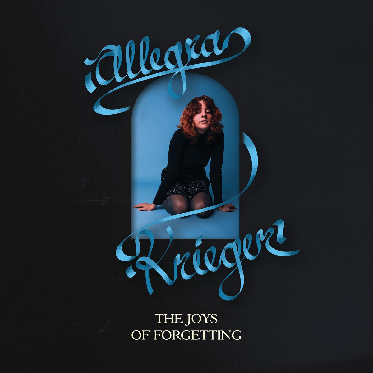 The Joys of Forgetting [CD]