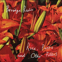 Porridge Radio - Rice, Pasta and Other Fillers (INDIE EXCLUSIVE) [CD]