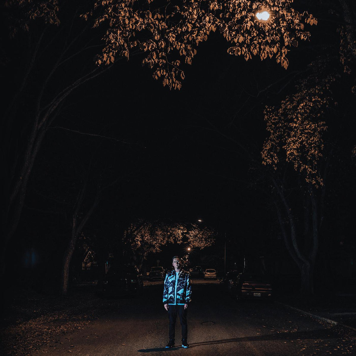 Factor Chandelier - Eastlake [Vinyl]