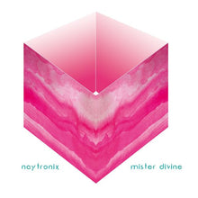 Mister Divine [CD]
