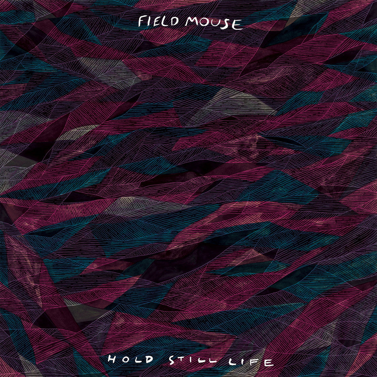 Hold Still Life [Cassette]