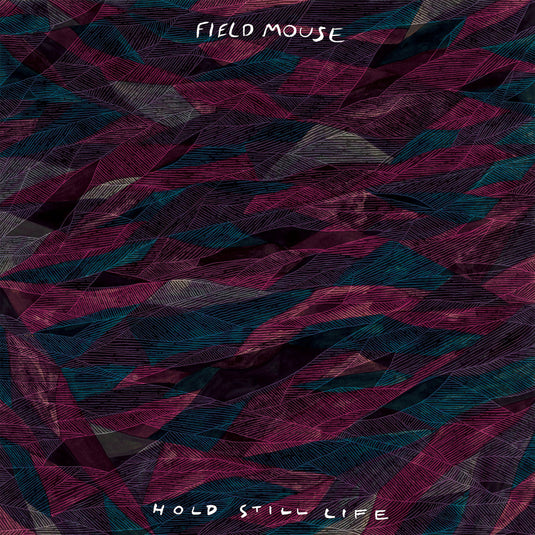Hold Still Life [CD]