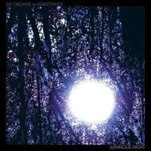 Luminous Night [CD]