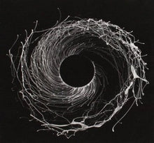 Dysnomia [CD]