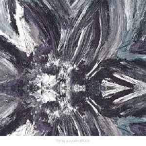 Flying Saucer Attack - Instrumentals 2015 [CD]