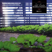 Bane of Progress, The [CD]