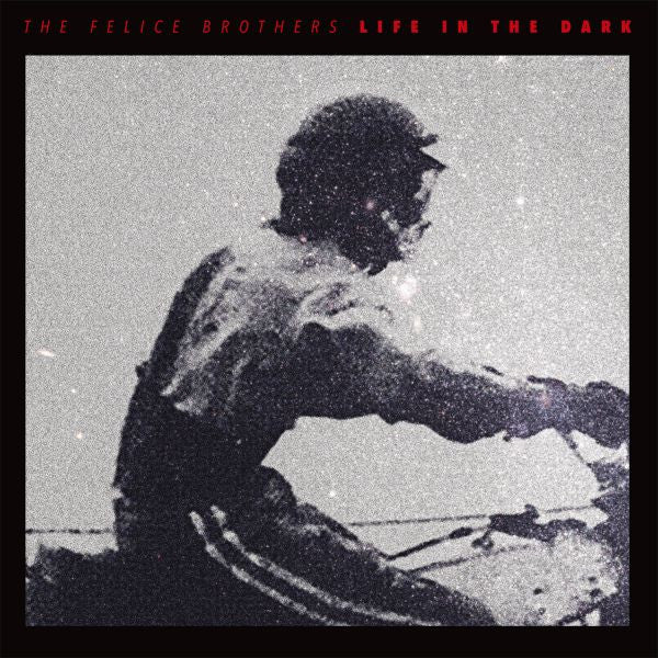 Felice Brothers, The - Life In The Dark [CD]